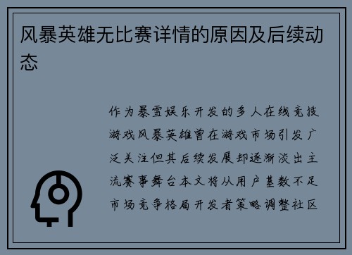 风暴英雄无比赛详情的原因及后续动态