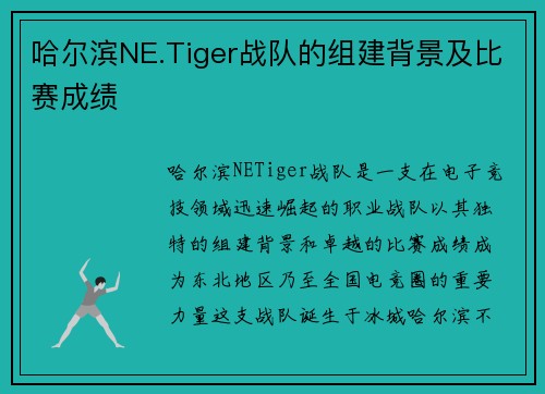 哈尔滨NE.Tiger战队的组建背景及比赛成绩